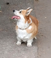 fnugfqhiybpzlheqifmkfegtwm7j5rwrez_u5uwbwlx2rdk0s5dfmuqj3jxs-m2dtfnkyyhwg29pj-qpruzcbr9