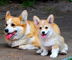 tmo3urgf0tqivk3zlwhbjzxfahaolebpnm5u30d6nulepgancqhrko4tdiajdcohgflxaabeyhdtcqs8rptabqbz