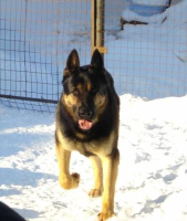 vj7ktcceghuqklftuy_mdis4lvz_nankljga5igavaeergw9-y4uugpclwveuq_uf-mkhnn6roi8iwdjwgpxpoiv