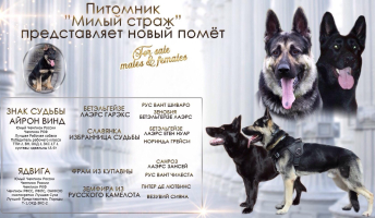 gvoowkgvahgvvm2rva7bc48p2wdoavkq4nacs9ka1maf5wsgkflp-fsffe65gs8rpdryzp5kgxfqwzvfdr7kmgzd