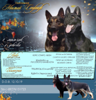 wrqsxyyo0iane4seuomysyqwzhh0qmh20xprfof5kceytrnedr0s-zqmkuhz7mqhnib3h7gjgcytlfltw4zontrk